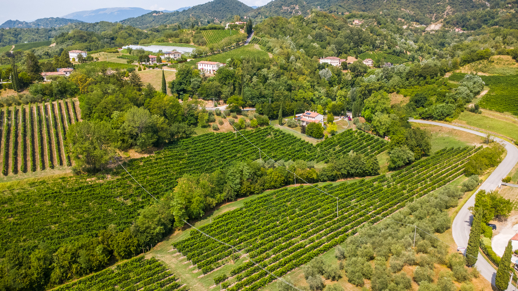 2 ha Land mit Prosecco DOCG