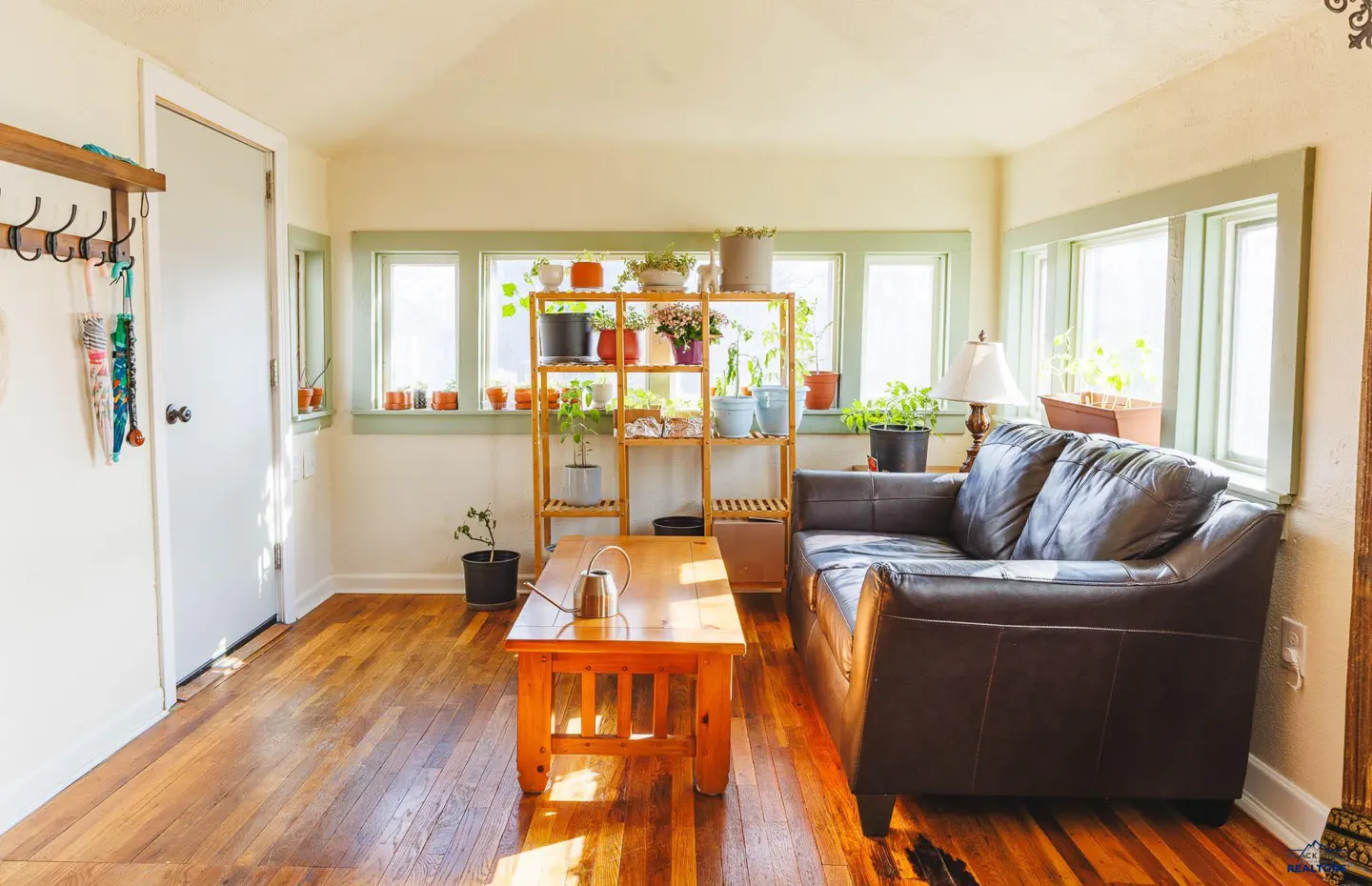 Bright sunroom with hardwood floors, a brown leather couch, and a wooden shelf filled with potted plants. A wooden coffee table sits in front of the couch.