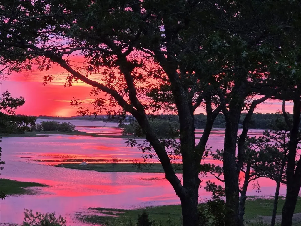 A vibrant pink sunset reflects on the water, framed by silhouetted trees in the foreground.