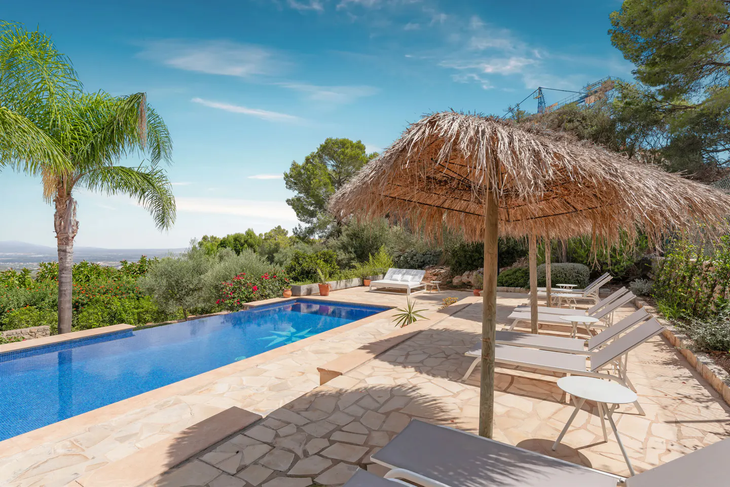 Outdoor pool area with lounge chairs under a thatched umbrella, palm tree, and blue sky.