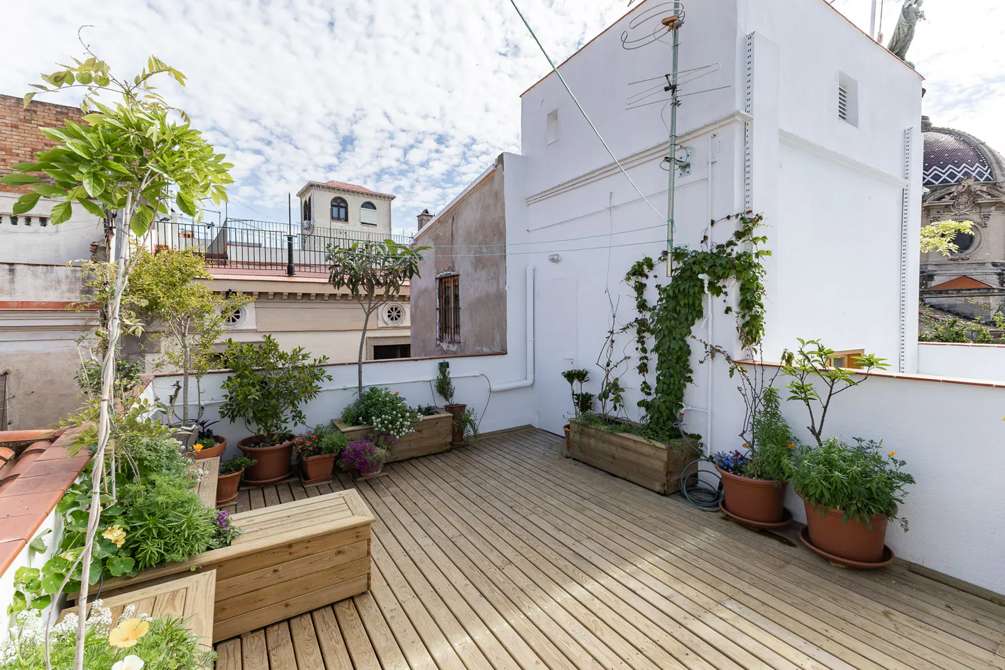 Rooftop deck with wooden planks, potted plants, and white walls. City buildings and a cloudy sky are in the background.