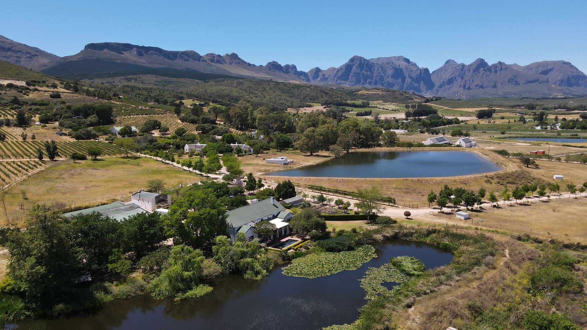 Wine Estate with Cellar