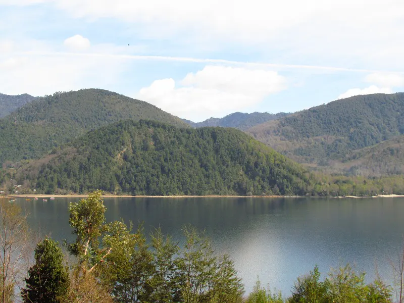 Lake view with green mountains under a blue sky. Trees in the foreground.
