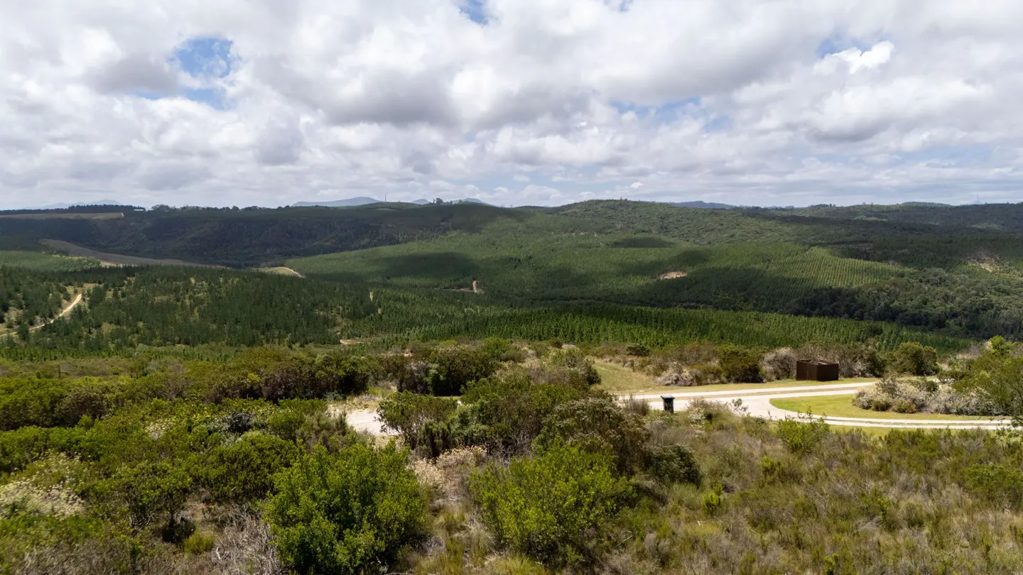 Pezula Private Estate