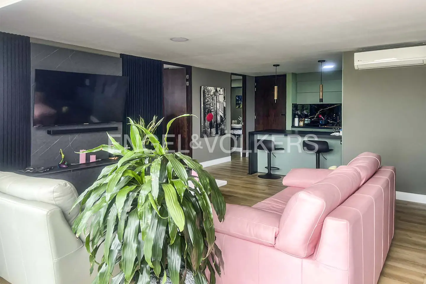 Modern living room with a pink sofa, a large green plant in the foreground, a wall-mounted TV, and a kitchen bar area.