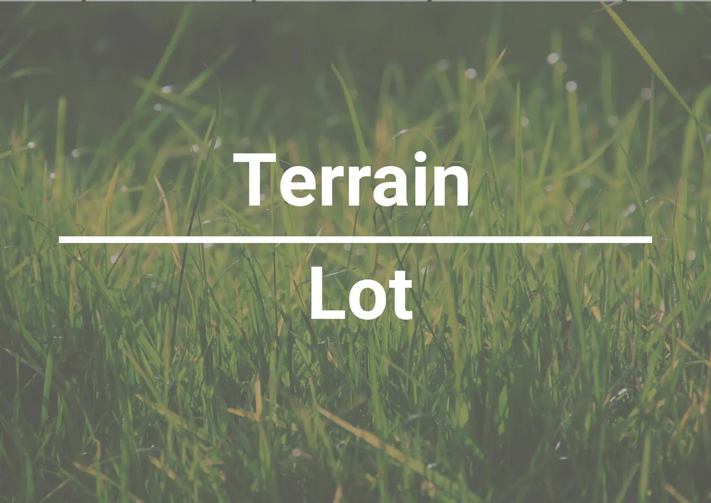 Close-up of a green grass lawn with the words "Terrain Lot" in white text overlaid on the image.