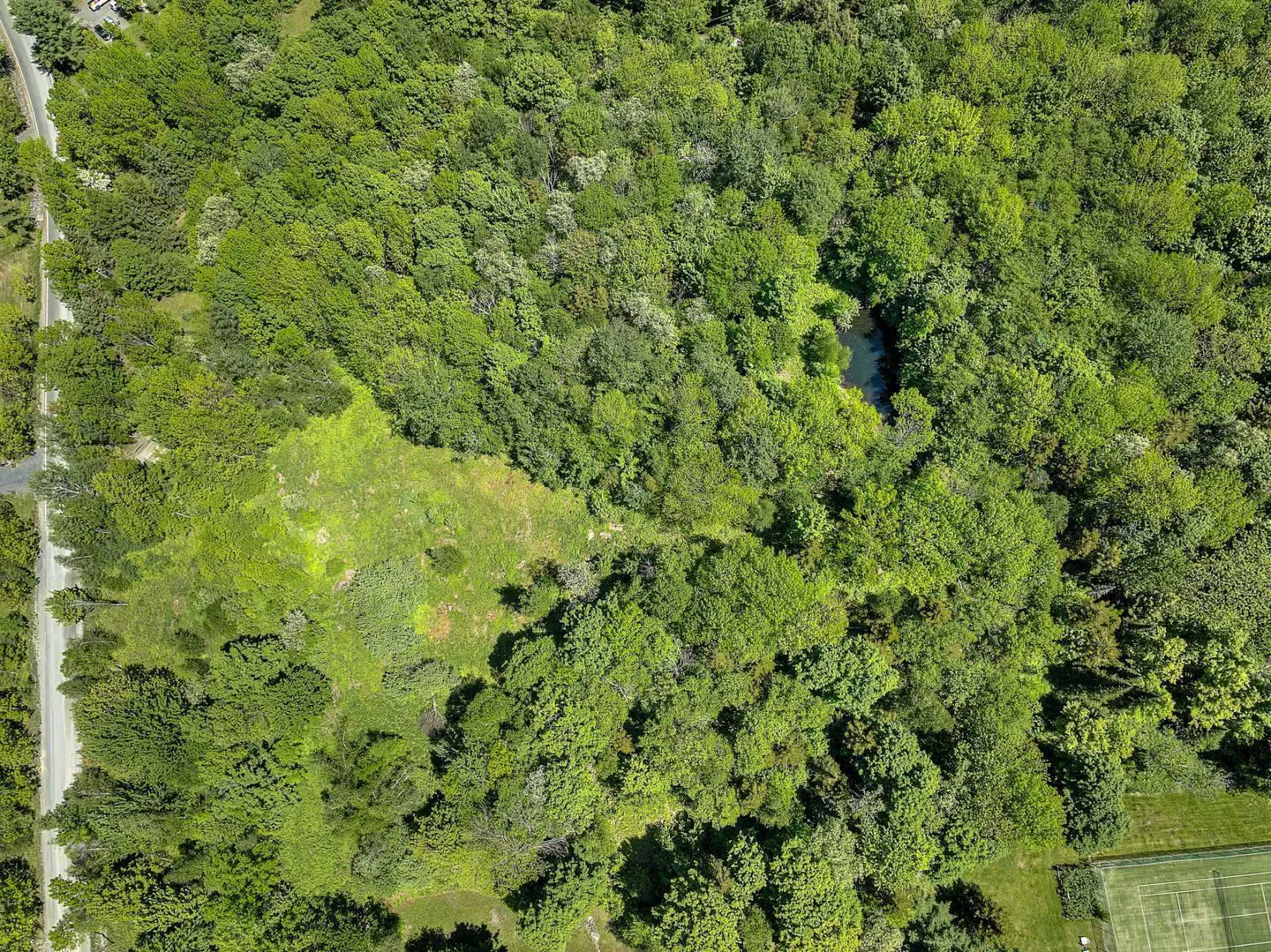 Aerial view of a lush green forest with a small pond, a grassy clearing, and a road on the left.
