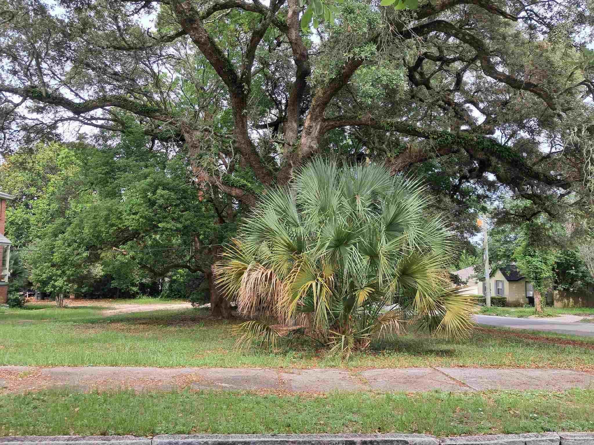 Vacant Land Historic Pensacola