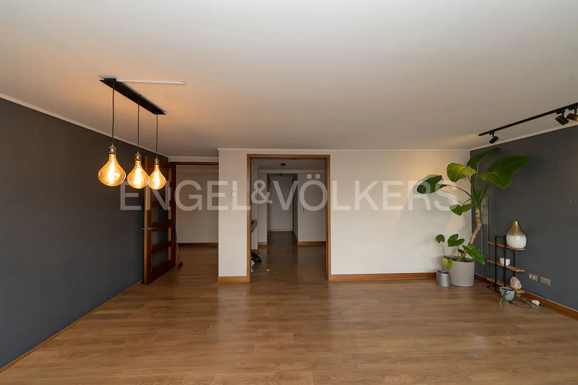A living room with wood floors, gray and white walls, and a large plant.