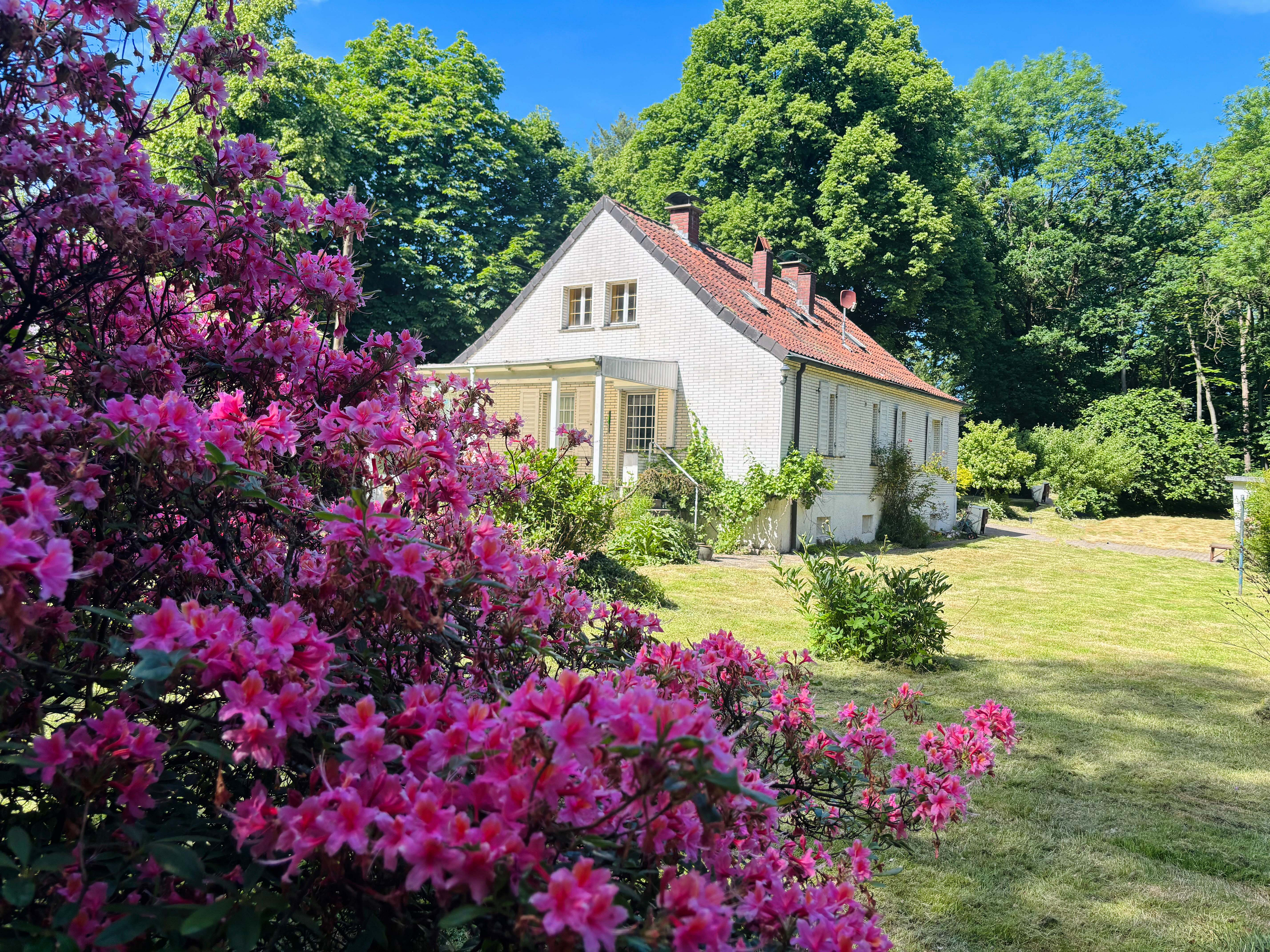 Grundstück mit Naturblick in Waldrandlage