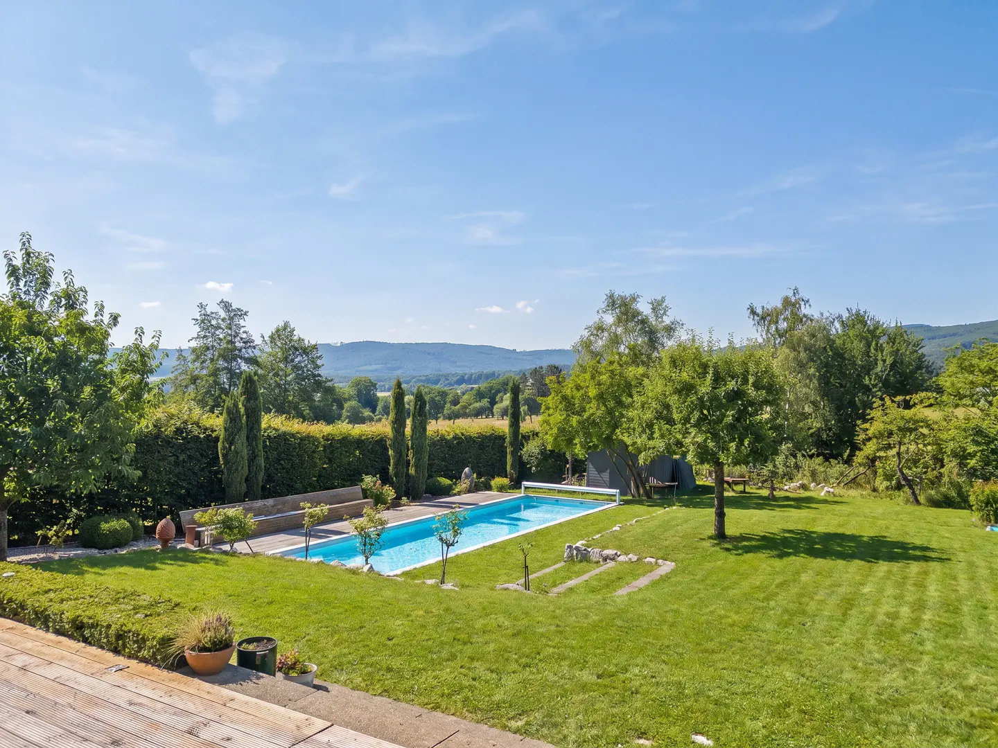 [AI-generated photo]