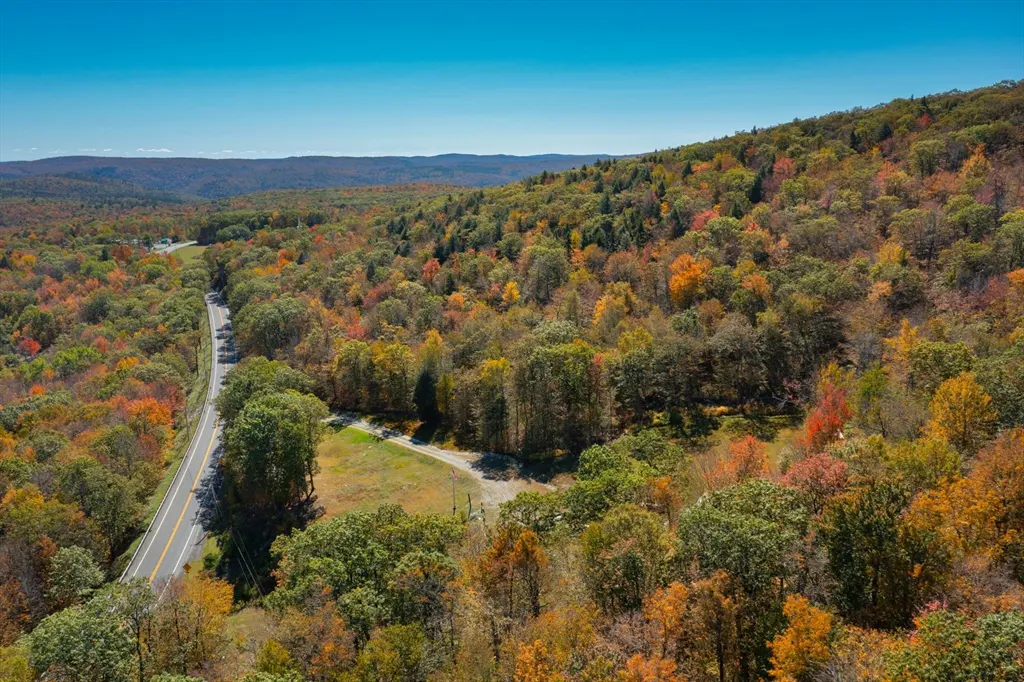 Aerial view of a winding road through a forest in autumn, with colorful foliage and a clear blue sky.