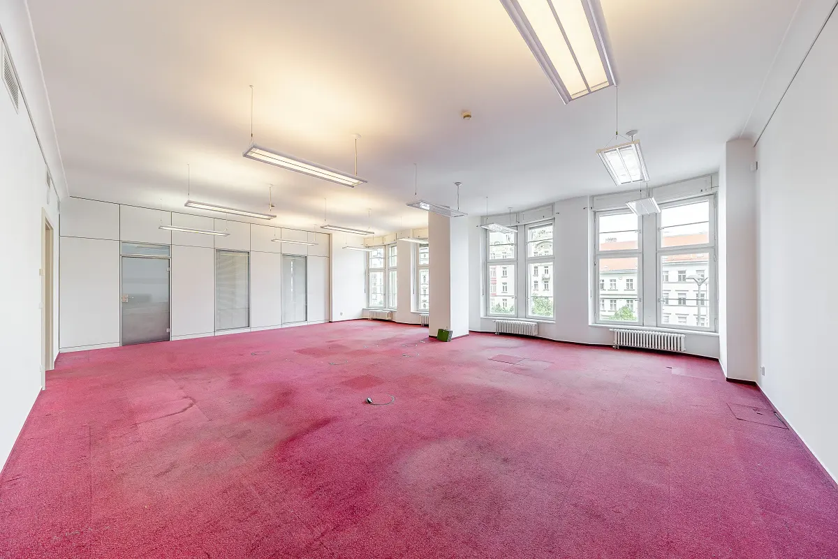 Bright, empty office space with white walls, pink carpet, and large windows. Overhead fluorescent lights illuminate the room.