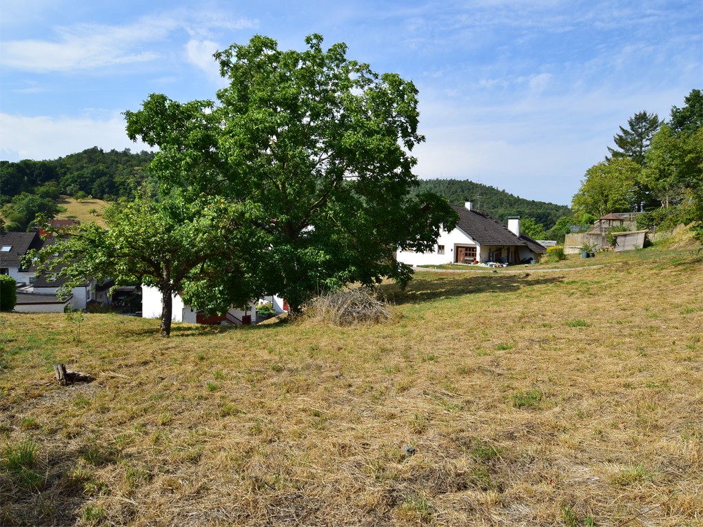 Baugrundstück mit toller Aussicht - und großem Baufenster!