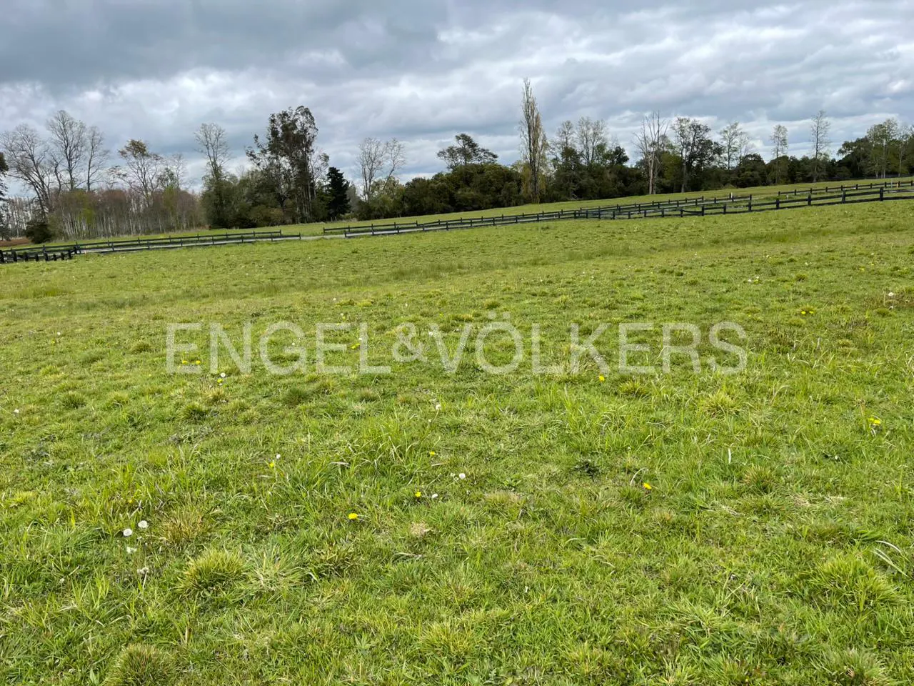 A grassy field with a black fence line under a cloudy sky. Trees are visible in the background.