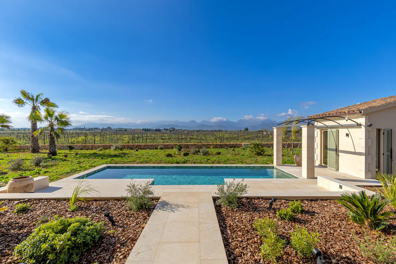 A backyard with a pool, stone path, and landscaping leads to a vineyard under a blue sky. A modern house is on the right.