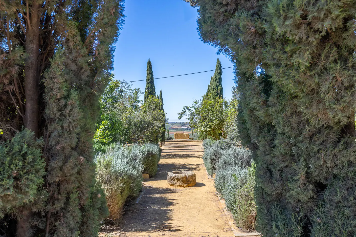 A garden path with green trees and bushes on either side leads to a stone structure under a blue sky.