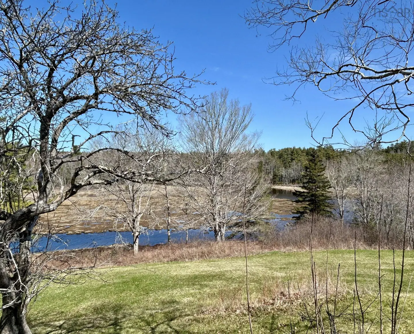 Scenic view of a blue river winding through a grassy field and trees under a clear blue sky.