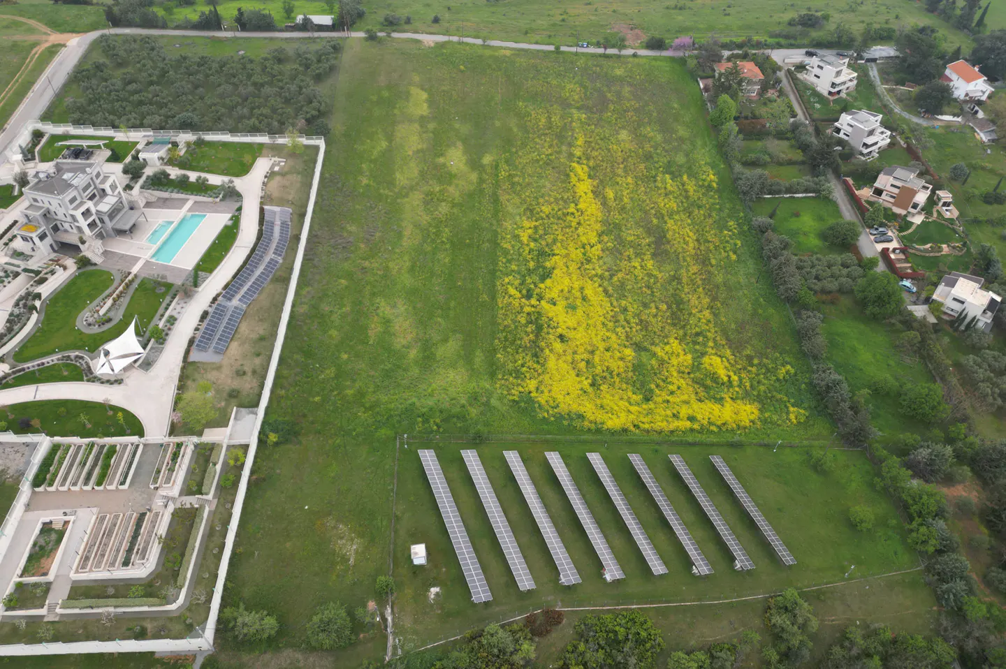 Aerial view of a large green field with yellow flowers, solar panels, and a modern house with a pool.
