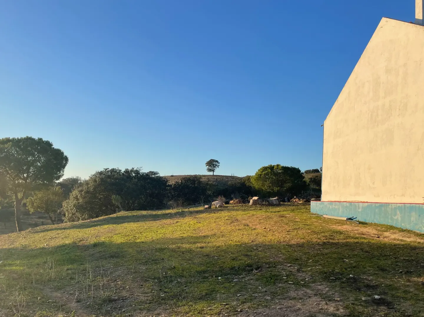 Exterior shot of a cream-colored building with a blue base, a grassy field, trees, and a clear blue sky.