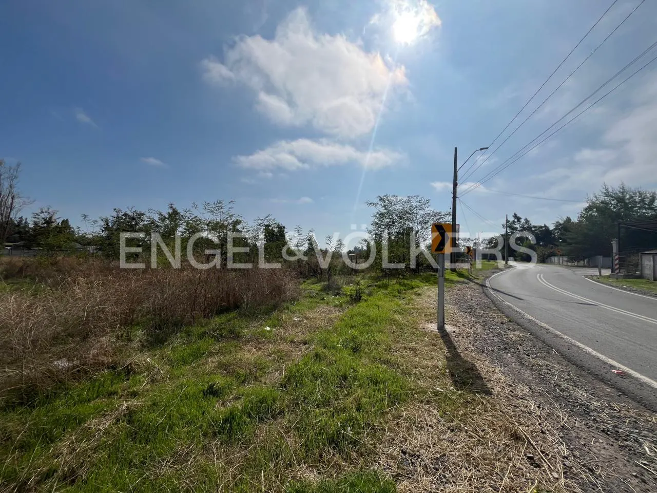 Vacant lot with grass and trees next to a road with a yellow curve warning sign under a blue sky. Engel & Völkers logo overlay.