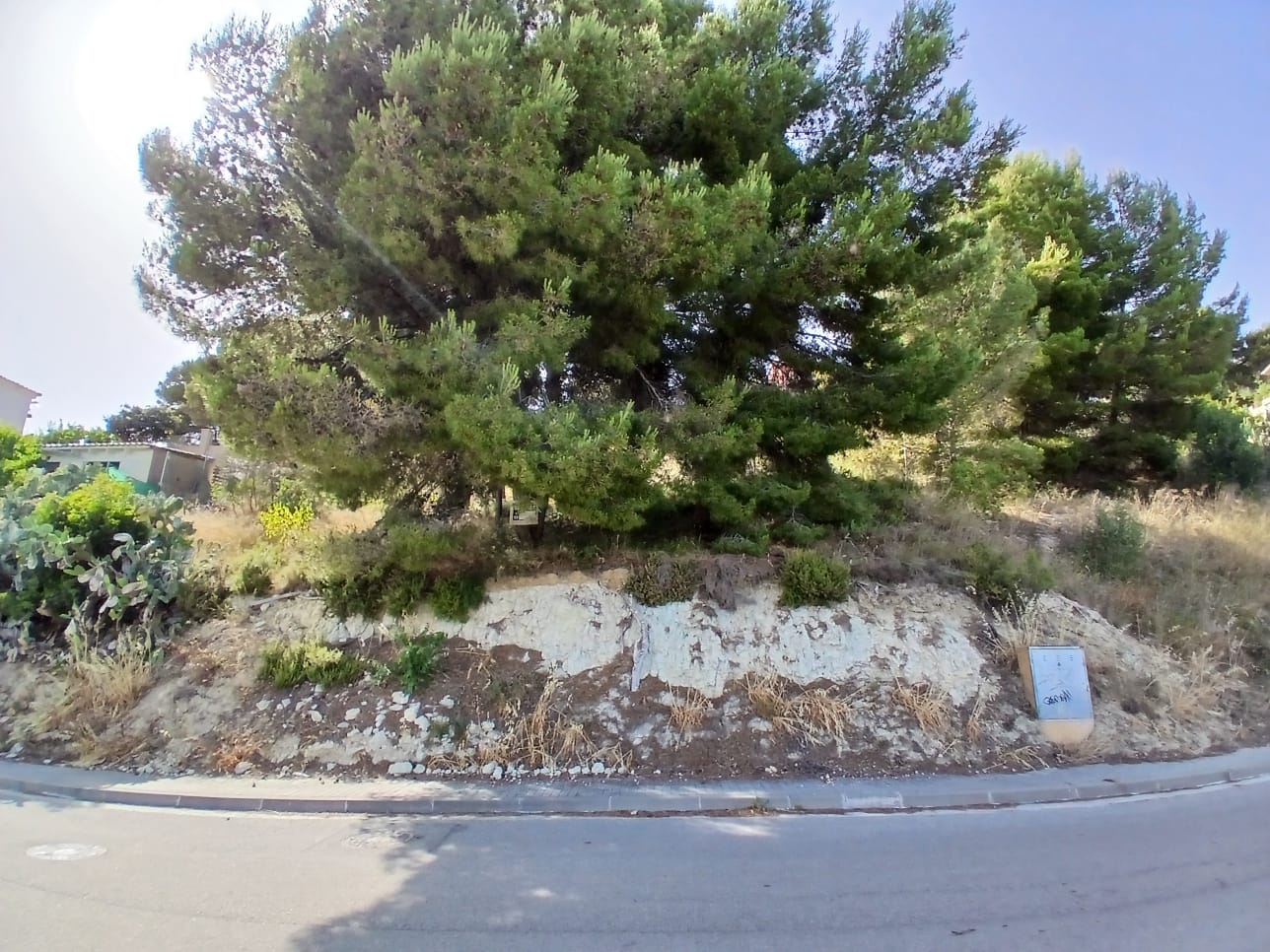 Urban plot overlooking vineyards in Can Coral, Torrelles de Foix