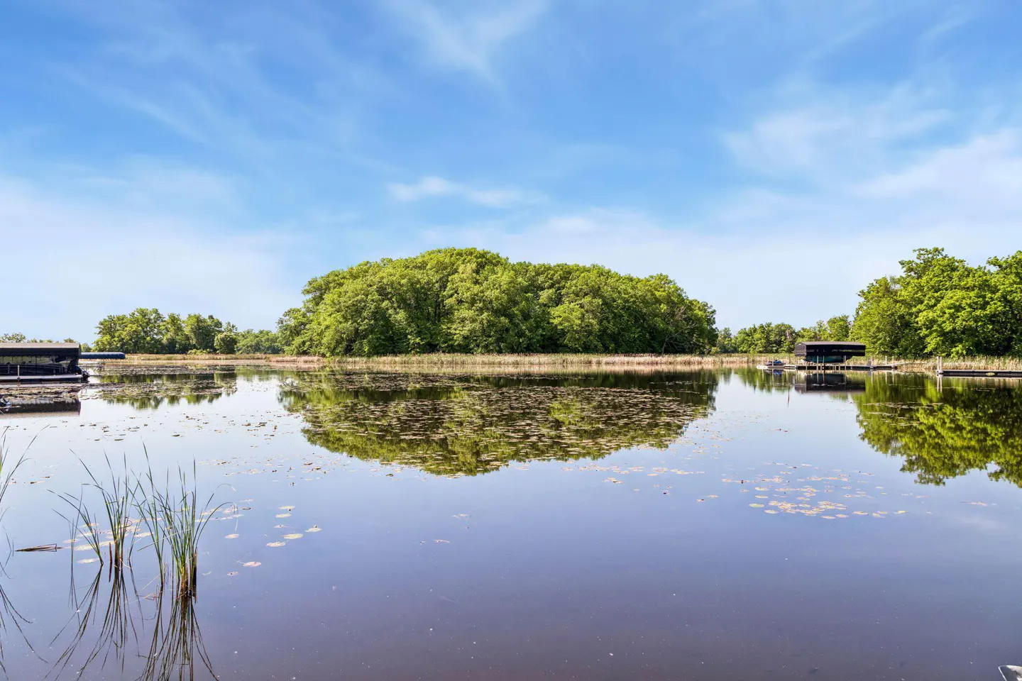 A calm lake reflects a lush green island under a bright blue sky with light clouds, featuring reeds in the foreground.