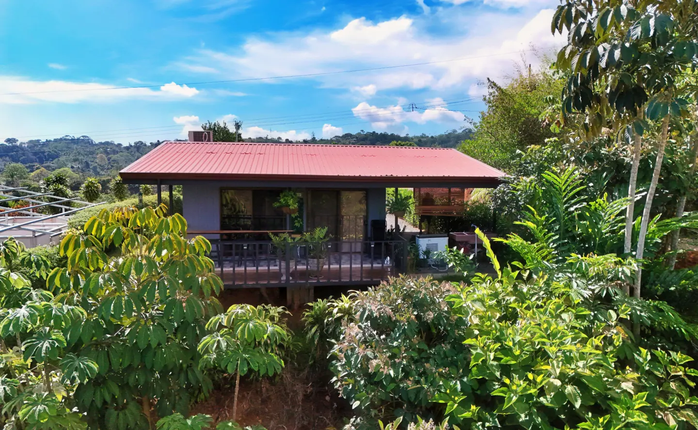 A gray house with a red roof is surrounded by lush green trees under a blue sky.
