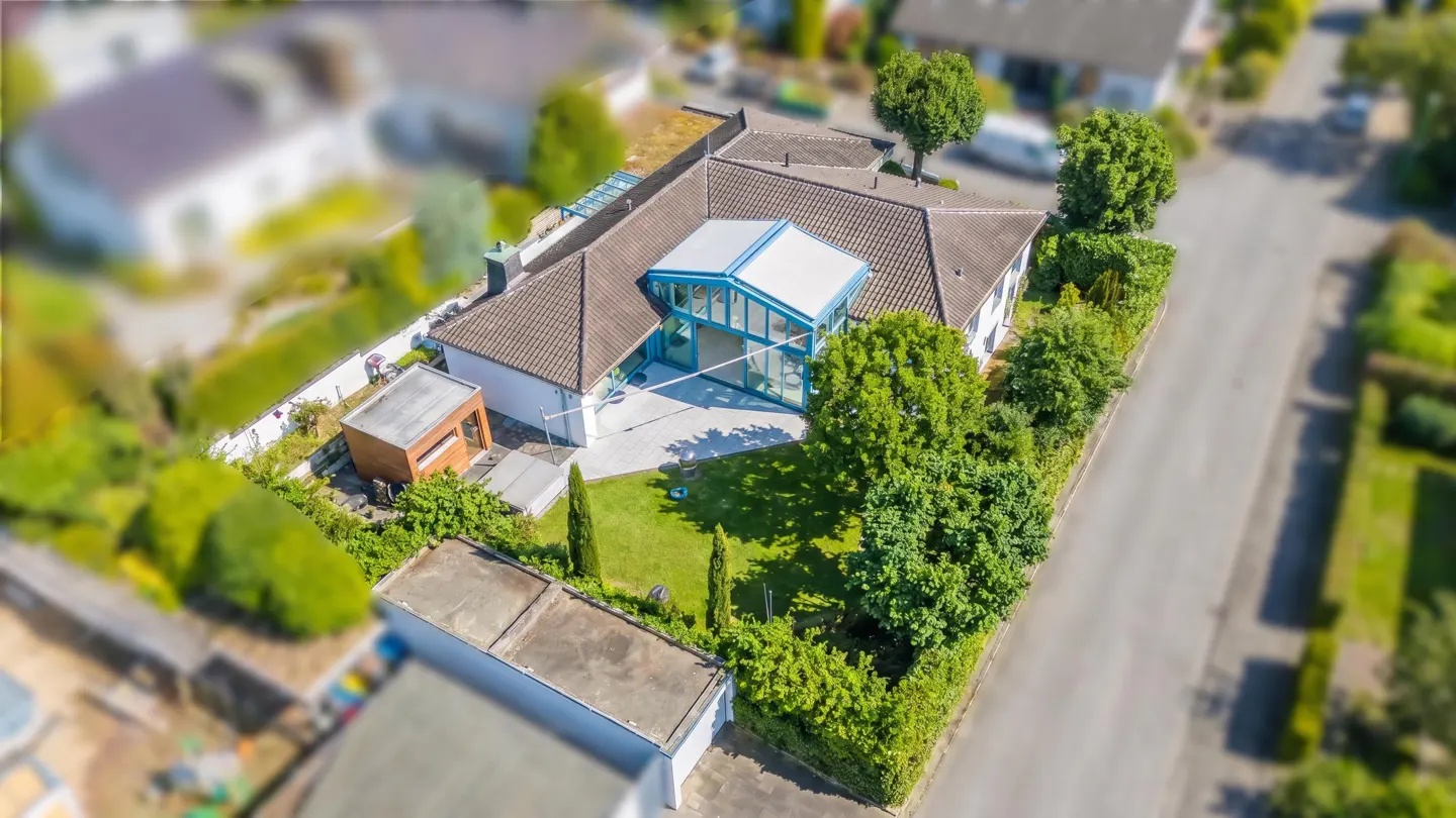 [AI-generated photo]