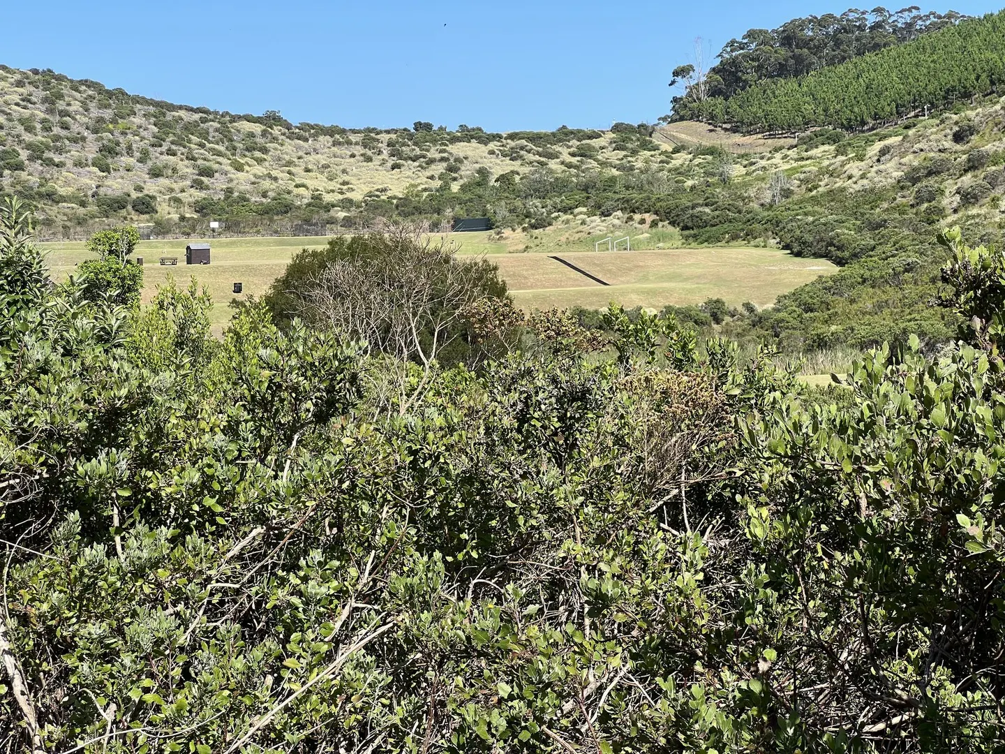 Pezula Private Estate