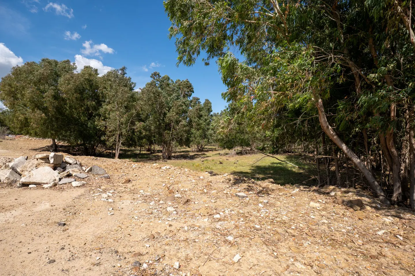 A vacant lot with trees under a blue sky. A pile of broken concrete sits on the left.