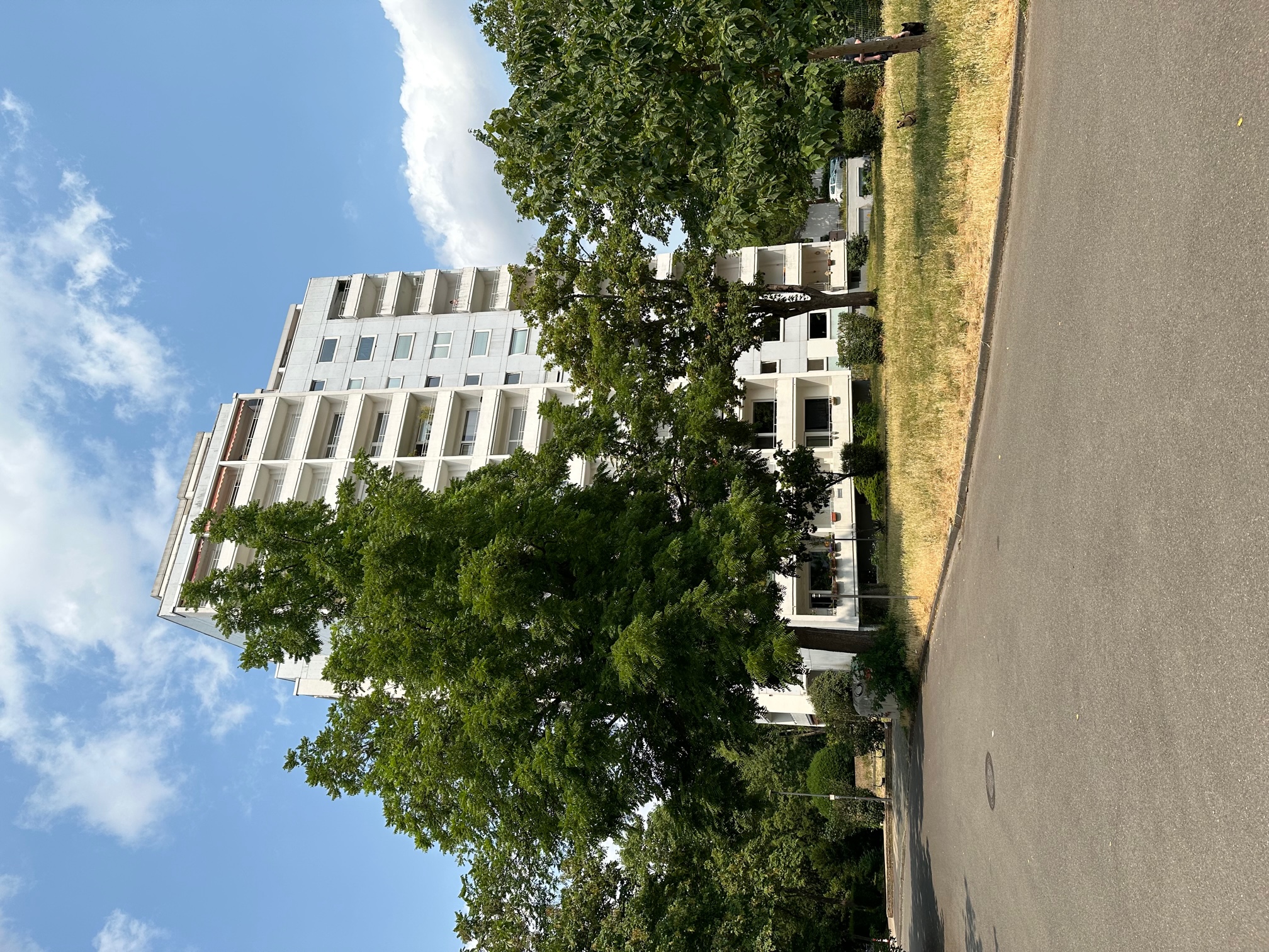 Vermietete Vier-Zimmer-Wohnung in Handschuhsheim mit herrlichem Fernblick in östlicher und westlicher Richtung