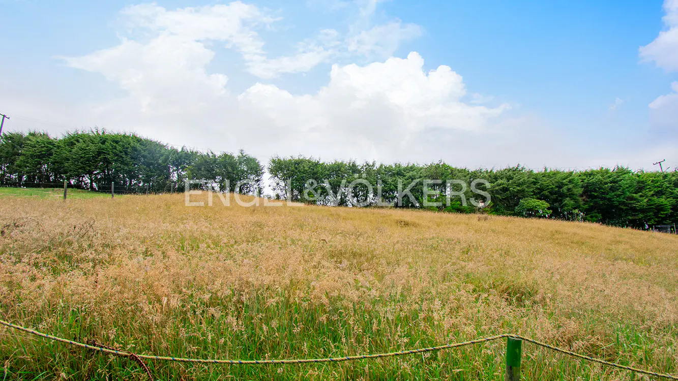 A field of tall, golden grass under a blue sky with white clouds, bordered by green trees. The Engel & Volkers logo is superimposed on the trees.