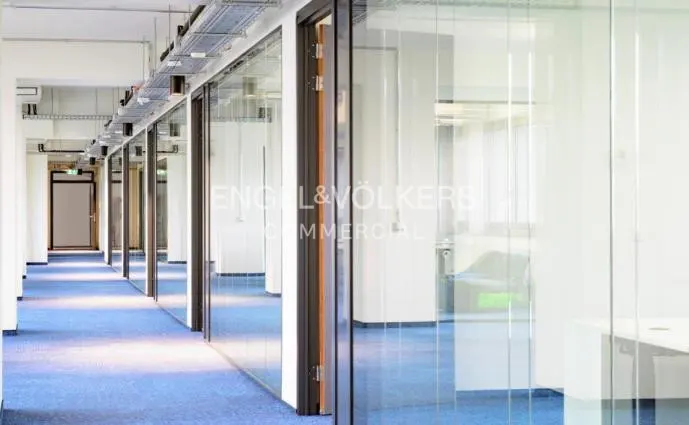 Modern office hallway with blue carpet, glass-walled partitions, and exposed industrial ceiling fixtures.