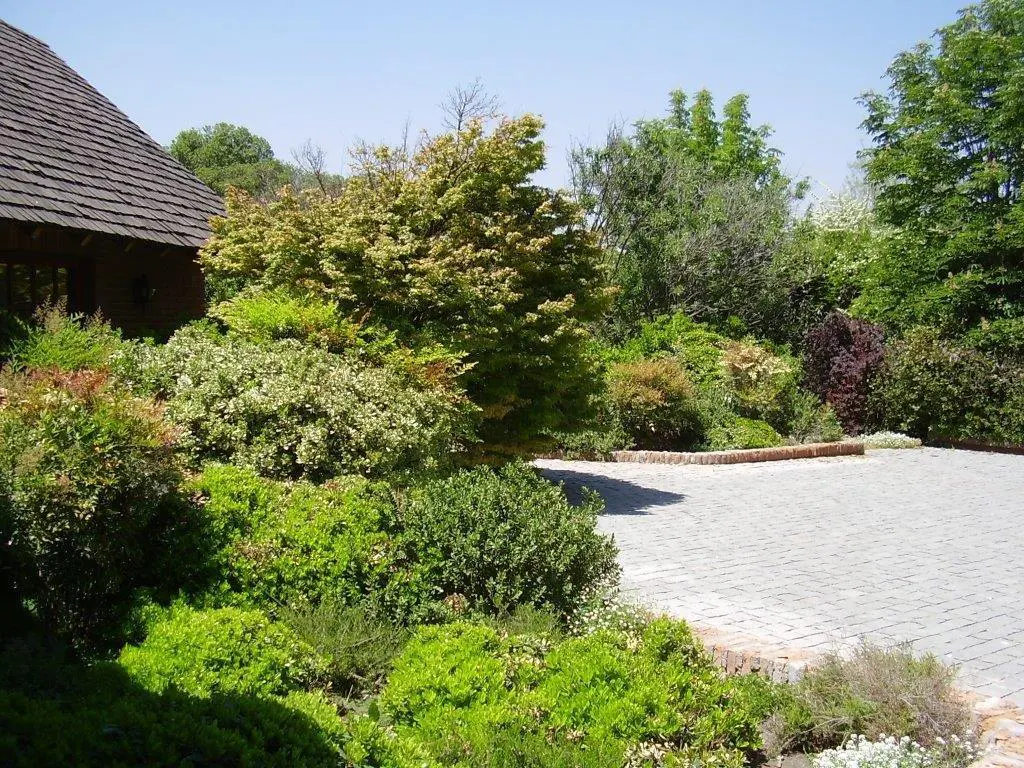 Landscaped driveway with brick pavers, lush green bushes, and a house with a brown shingled roof.