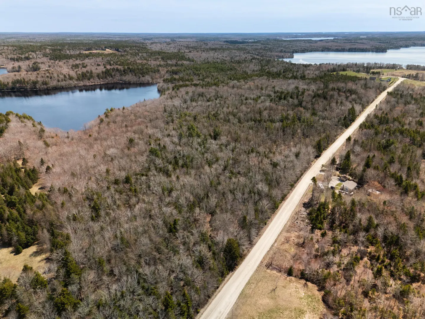 Aerial view of a long dirt road cutting through a forest, leading to a house, with a lake visible in the background.