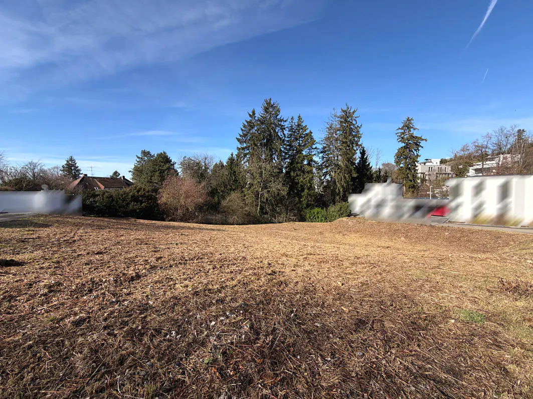 Vacant lot with brown grass and trees under a blue sky. Buildings are blurred in the background.