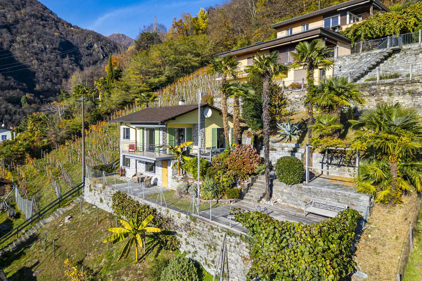 Exterior view of a yellow house with green shutters on a hillside with trees and a vineyard.