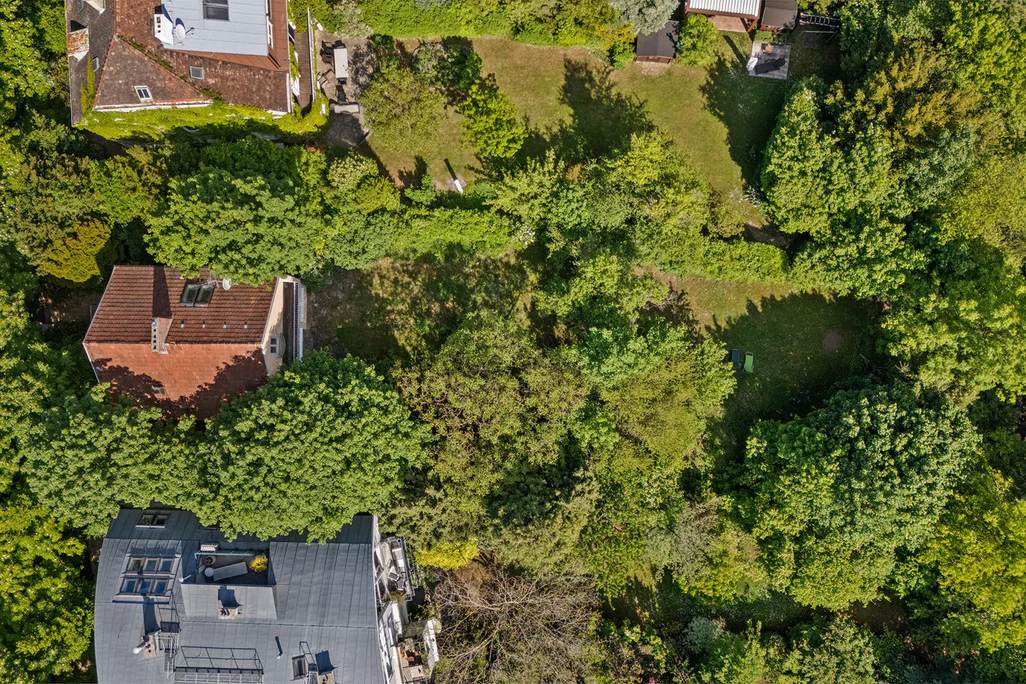 Aerial view of houses with red and gray roofs surrounded by lush green trees and a grassy yard.