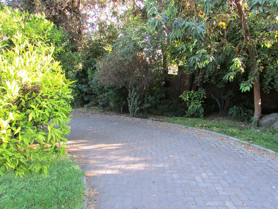 A gray brick driveway curves through lush green trees and bushes.