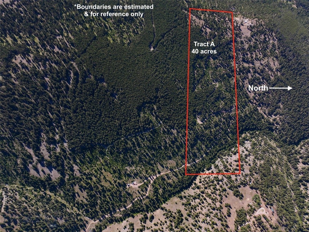Montana Mountain Escape with Creek, Trails & Views