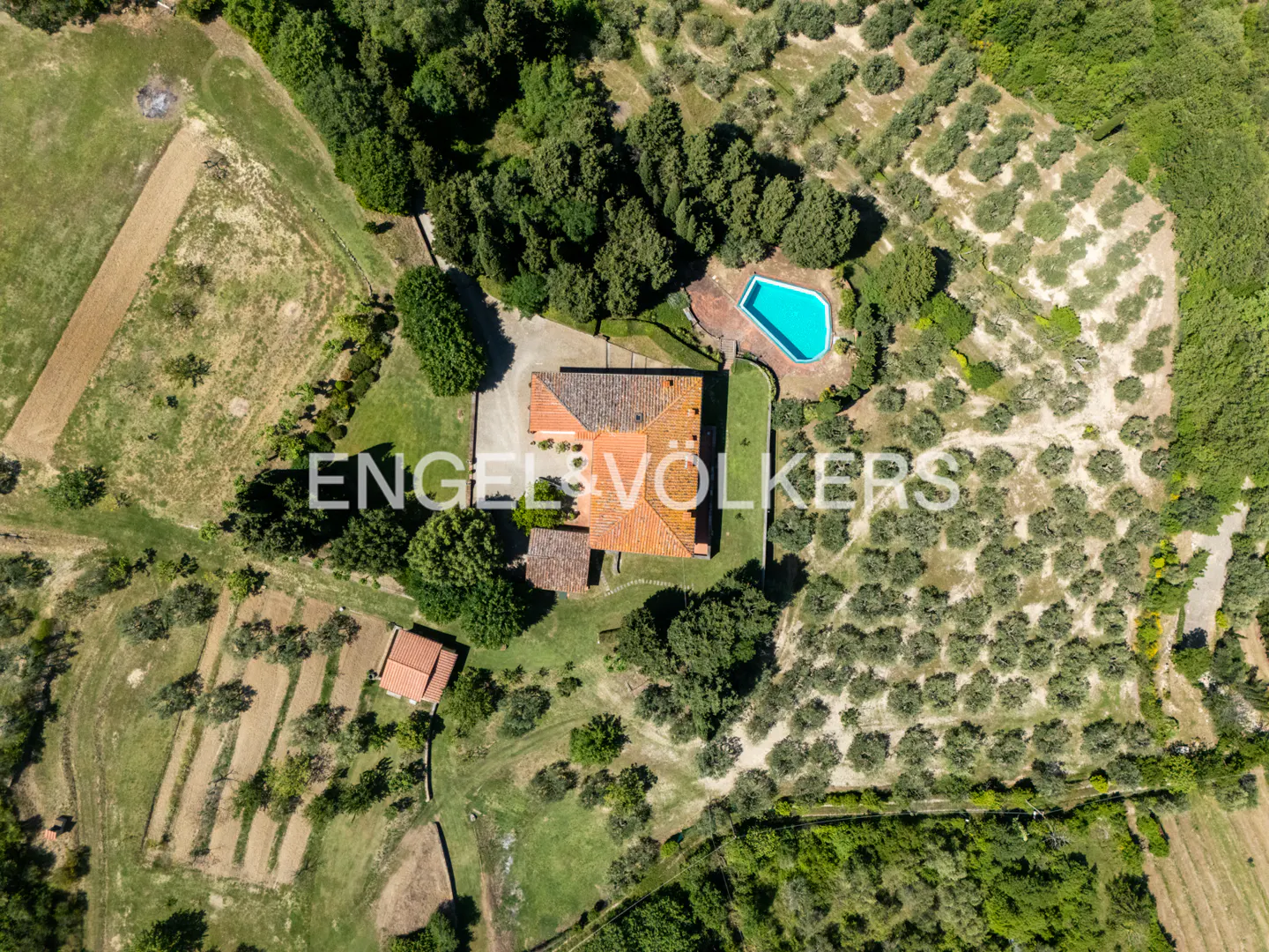 Aerial view of a terracotta-roofed villa with a blue pool, surrounded by olive groves and lush greenery in the countryside.