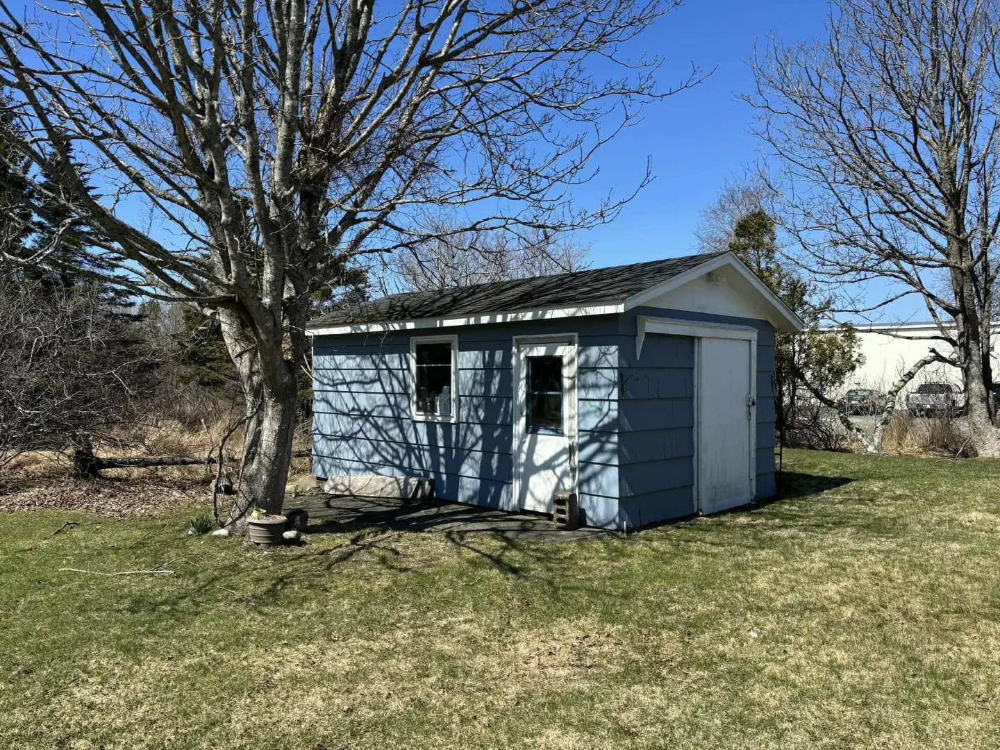 A small, light-blue shed with a white door and trim sits on a green lawn under a blue sky. A bare tree casts shadows on the shed.