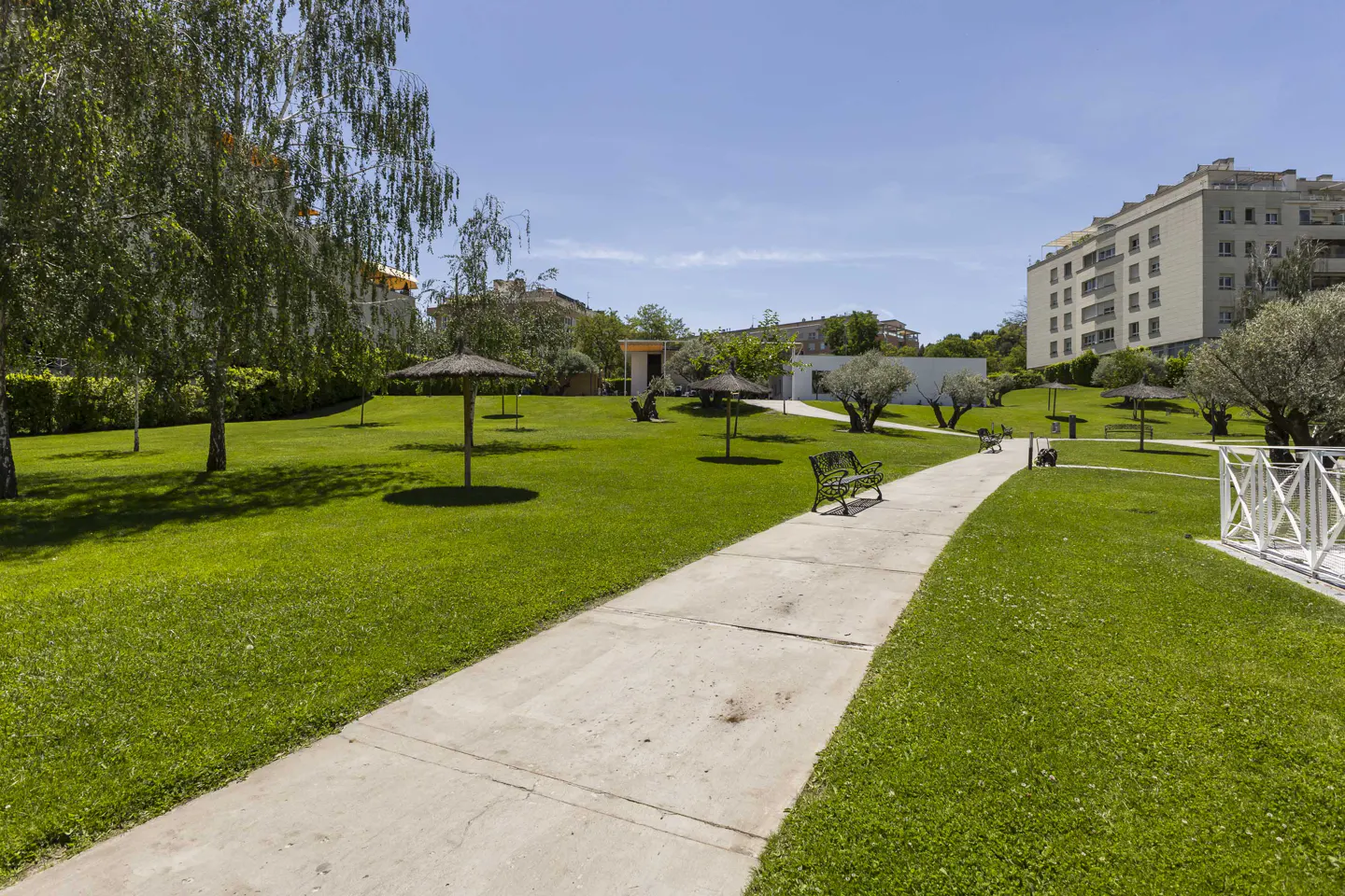 A park with a concrete path, green grass, trees, benches, and straw umbrellas on a sunny day. A building is visible in the background.