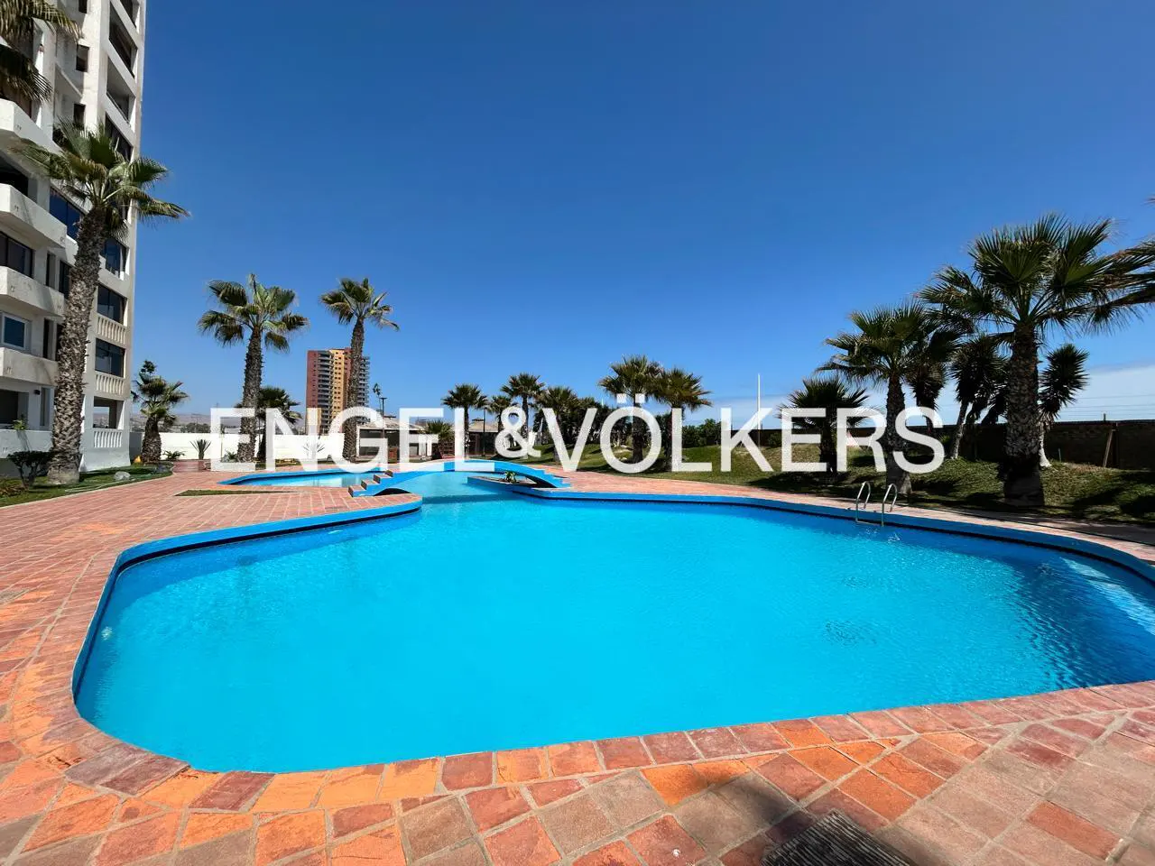 Outdoor pool with turquoise water, surrounded by palm trees and brick patio under a clear blue sky. Engel & Volkers logo in the background.