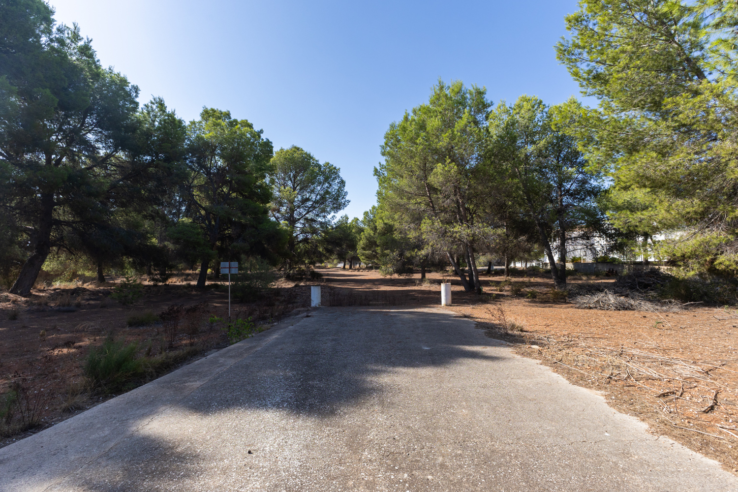 Magnificent rural lot of 21.000 sqm in Bétera (next to La Masía) Bétera, Valencia