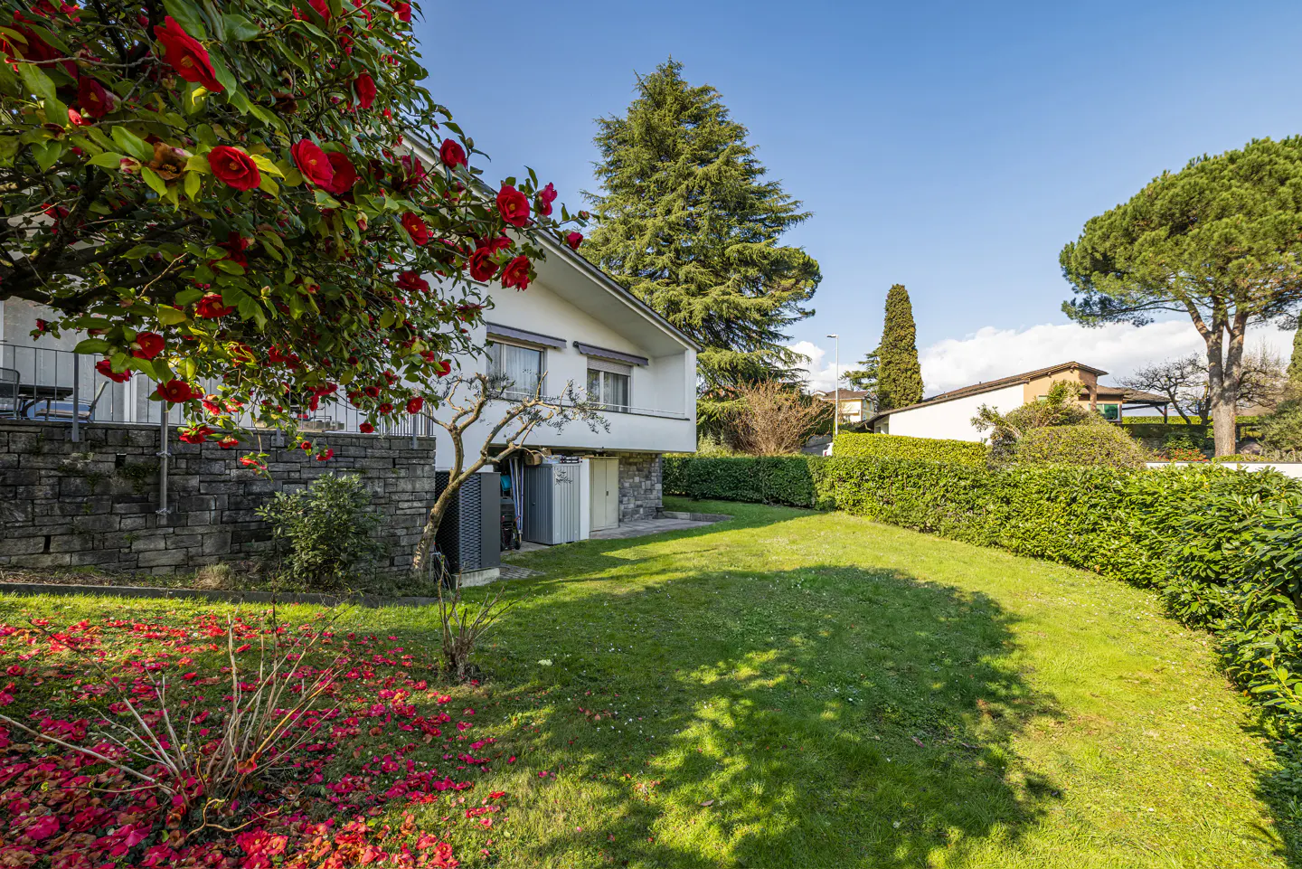 Two-story white house with a stone foundation and a green lawn. Red flowers are on a tree in the foreground.