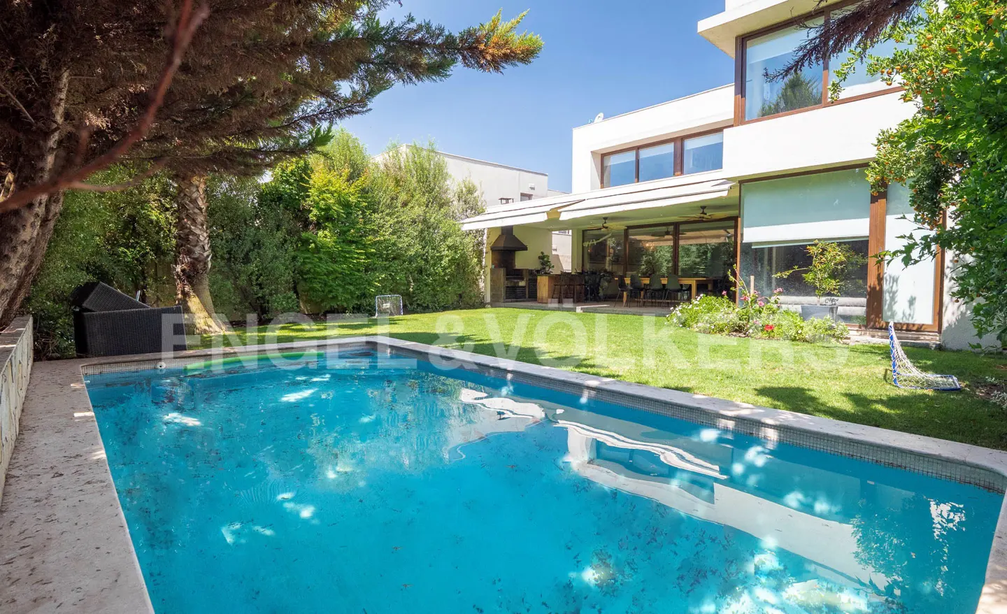 A backyard with a blue swimming pool, green grass, trees, and a modern white house with large windows.