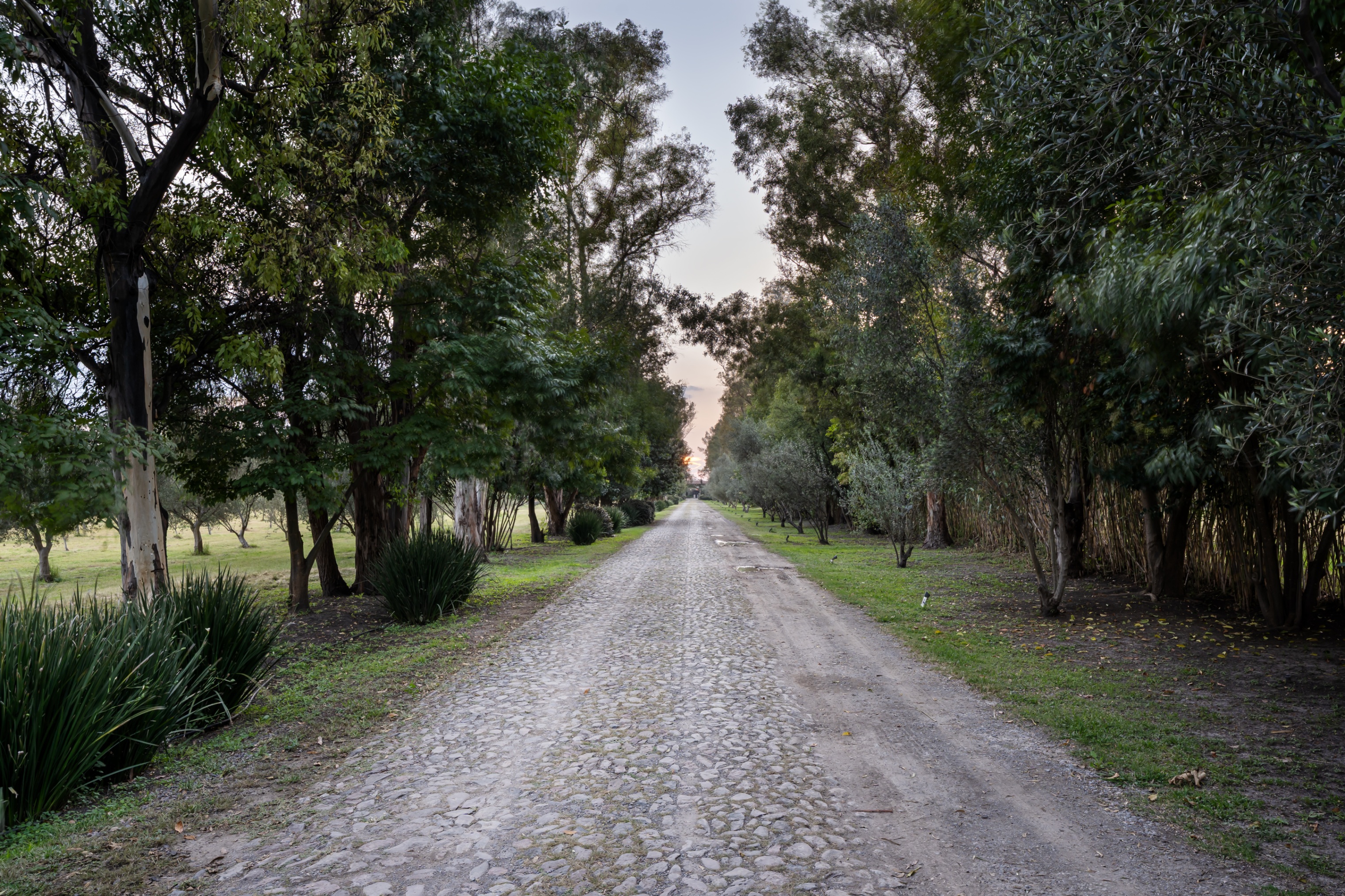 Outstanding Lot in Viñedo San Lucas