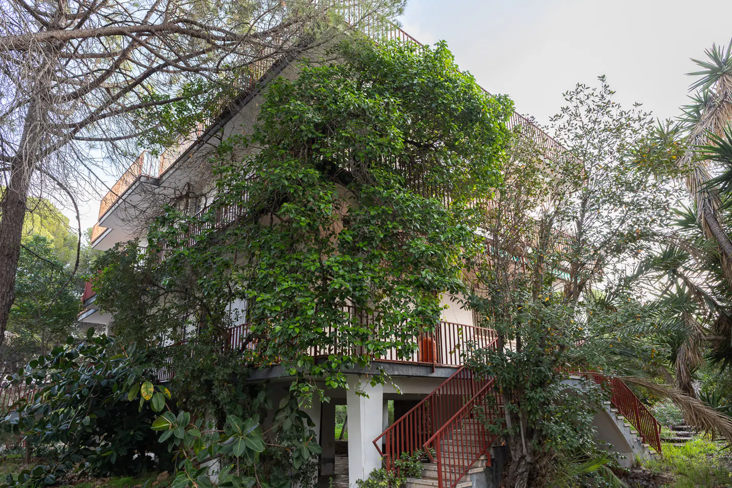 Exterior view of a multi-story white building with red railings, partially obscured by lush green trees and foliage.